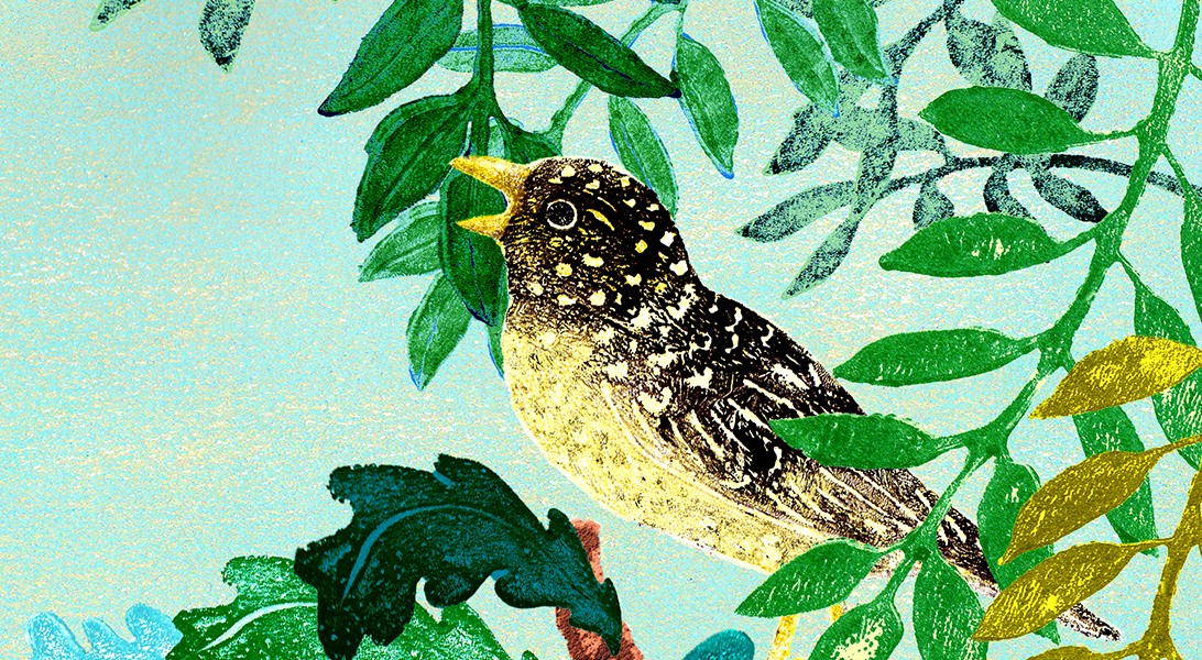 sparrow in tree illustration by S. Horsley